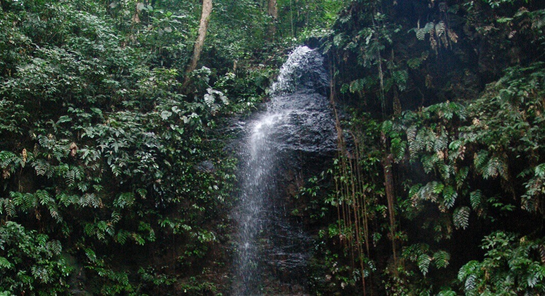 Cascada en Surinam