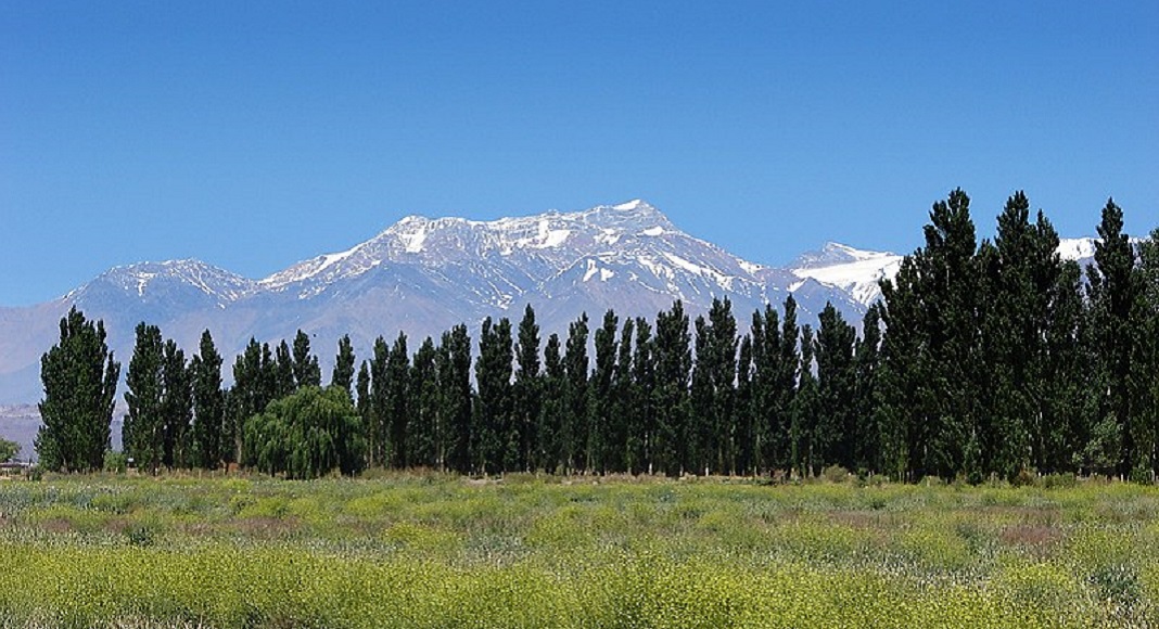 Árboles con montañas de fondo en Barreal